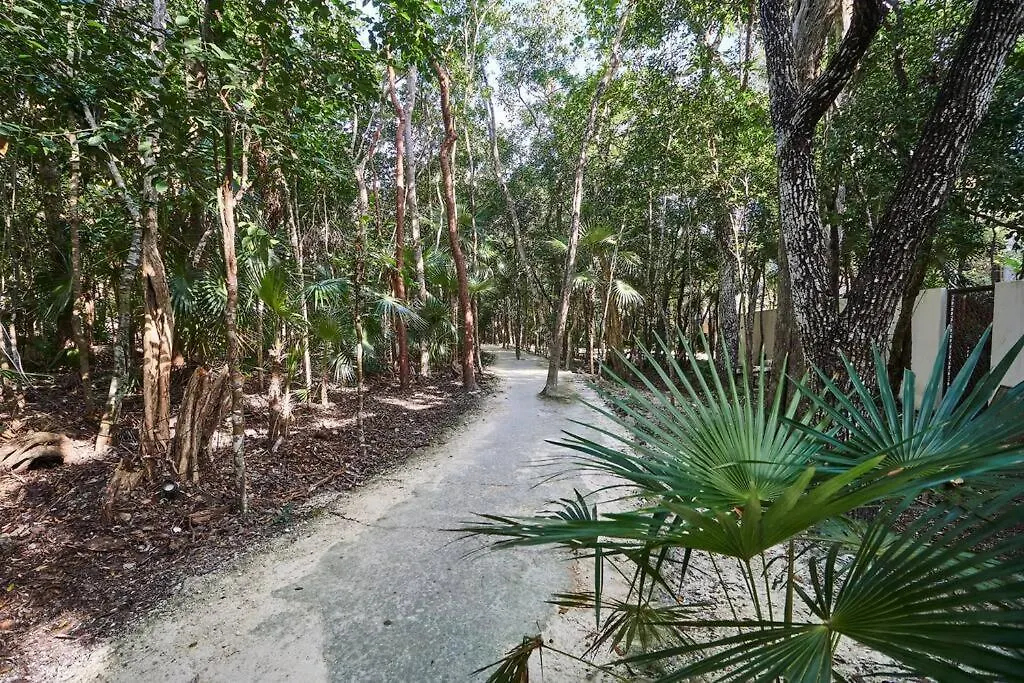 Apartment Nuuch Classy Ph W/ Private Pool/Rooftop, Aldea Zama Tulum