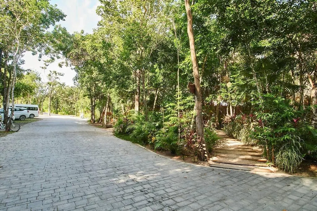 Nuuch Classy Ph W/ Private Pool/Rooftop, Aldea Zama Tulum 0*,